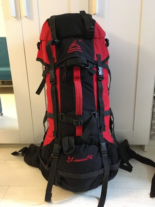 Рюкзак Normal "Улисс 70 Pro"